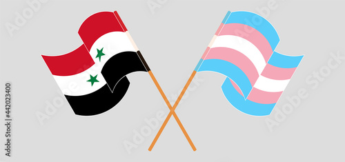 Crossed and waving flags of Syria and transgender pride