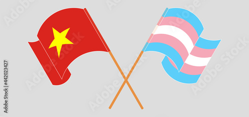 Crossed and waving flags of Vietnam and transgender pride