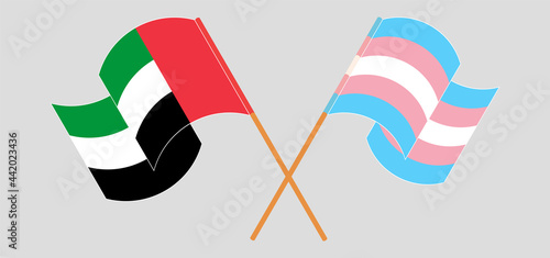 Crossed and waving flags of the United Arab Emirates and transgender pride