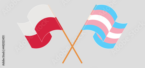 Crossed and waving flags of Poland and transgender pride