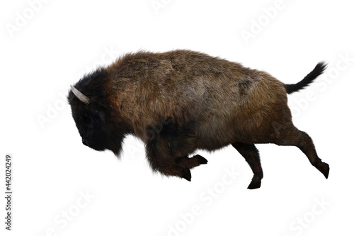 American bison, different poses isolated on a white background. 3D figure clip art as a template for collage. 3D rendering, 3D illustration.