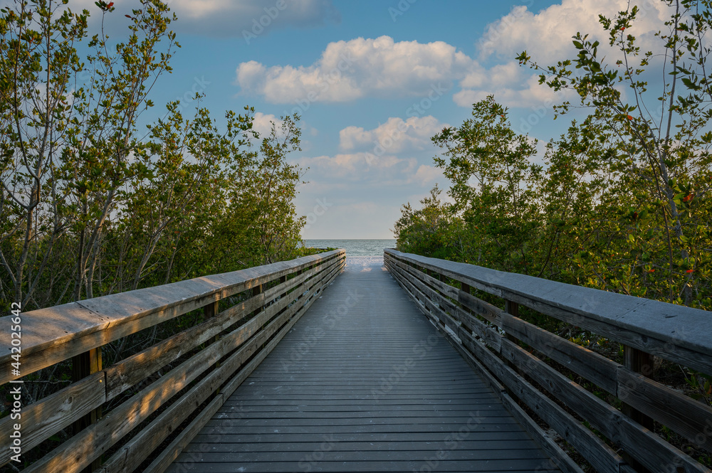 Bridge to Paradise