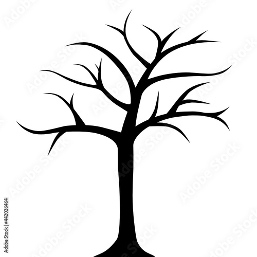 Drzewo bez liści