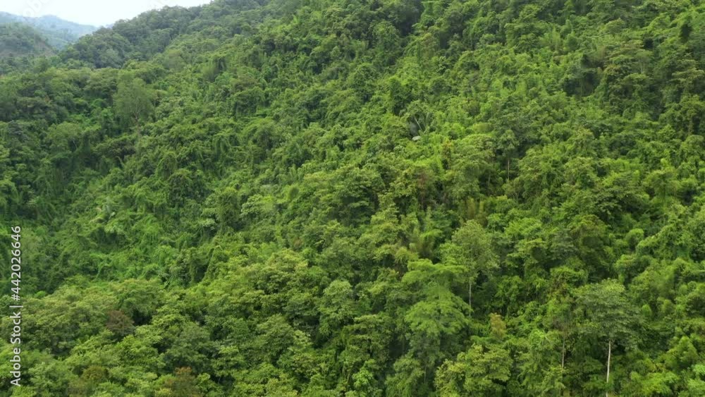 Aerial view flying above lush green tropical rain forest mountain the rainy season on the Doi Phuka Mountain reserve national park the Nan province northern Thailand. Aerial view flying above lush green tropical rain forest mountain the rainy season on the Doi Phuka Mountain reserve national park the Nan province northern Thailand.