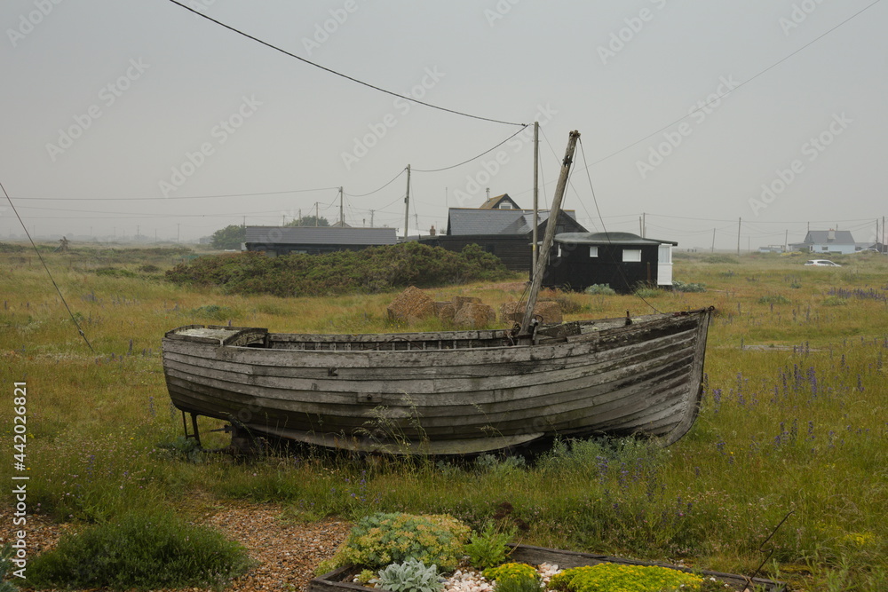 Dungeness visit 27 June
