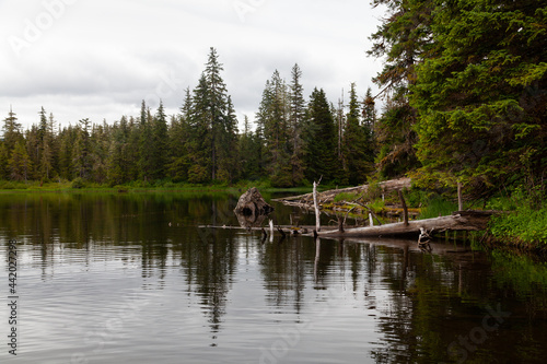 Shoreline and reflection at Lake Eva in South East Alaska