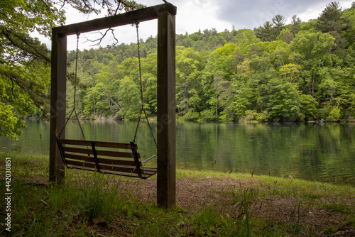 Quiet Reflection