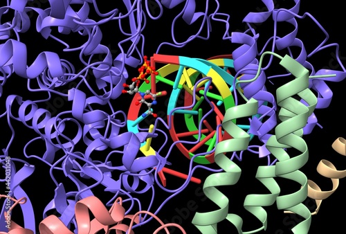 Konstfotografi Structure of Favipiravir bound to replicating polymerase complex of SARS-CoV-2 i