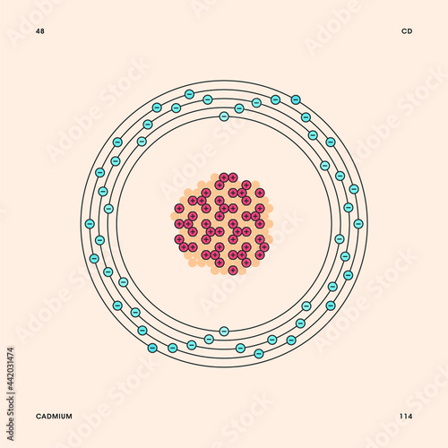 Bohr model representation of the cadmium atom, number 48 and symbol Cd.
Conceptual vector illustration of cadmium-114 isotope atom, mass number 114 and electron configuration 2, 8, 18, 18, 2.