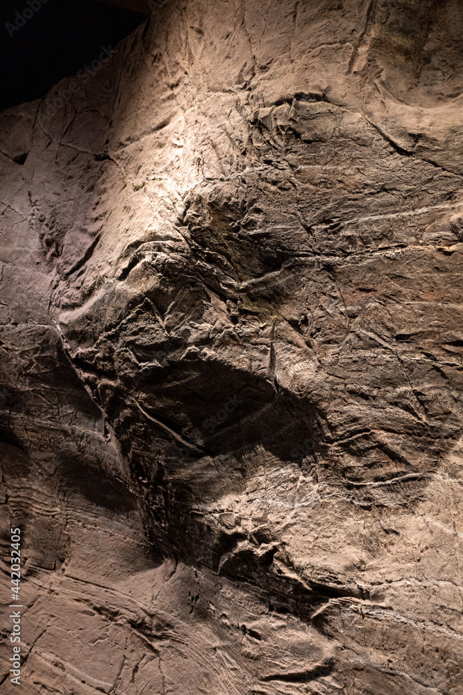 Fototapeta premium stone texture