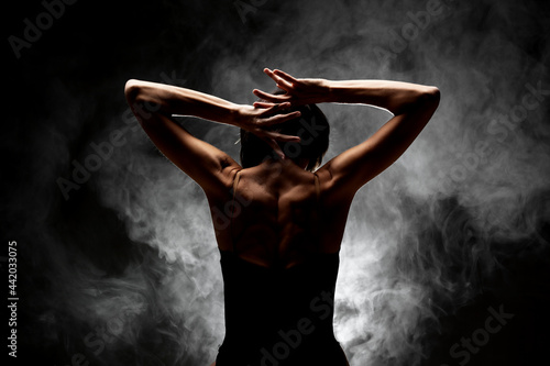 Fototapeta Naklejka Na Ścianę i Meble -  half silhouette modern ballet dancer posing on dark background with smoke