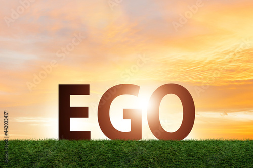 EGO concept with letters as silhoette