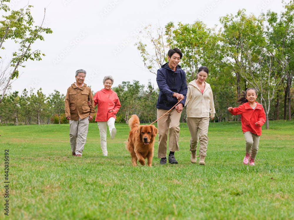 Obraz premium Happy family of five and pet dog walking in the park