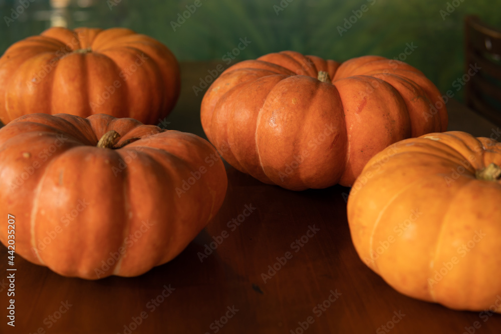 shrimp in the pumpkin shrimp in the pumpkin