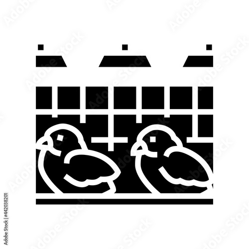 chick in poultry farm glyph icon vector. chick in poultry farm sign. isolated contour symbol black illustration