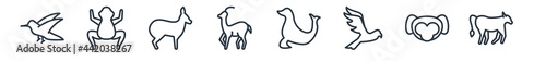 linear set of animals outline icons. line vector icons such as humming bird, tropical frop, musk, gazelle, sea lion, calf vector illustration.