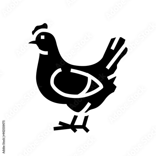 chicken bird glyph icon vector. chicken bird sign. isolated contour symbol black illustration