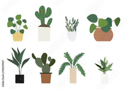 Various plant pots for home gardening. flat design style minimal vector illustration.