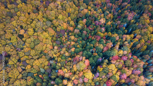 Beautiful aerial views of autumn fall foliage landscape in Wentworth valley, Nova Scotia. Autumn colors of Nova Scotia, Canada