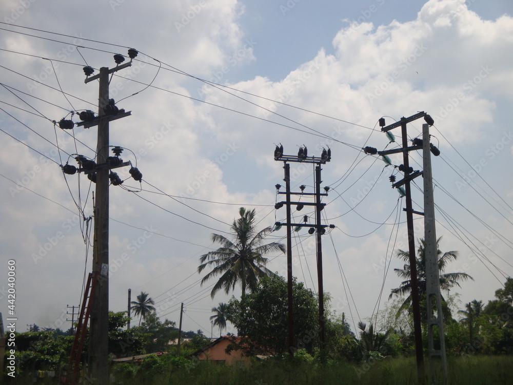 Srl Lanka
pole Line  electricity