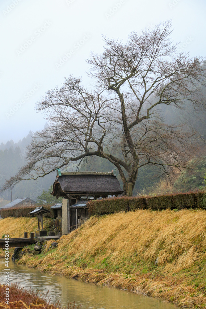 Obraz premium 一乗谷朝倉氏遺跡