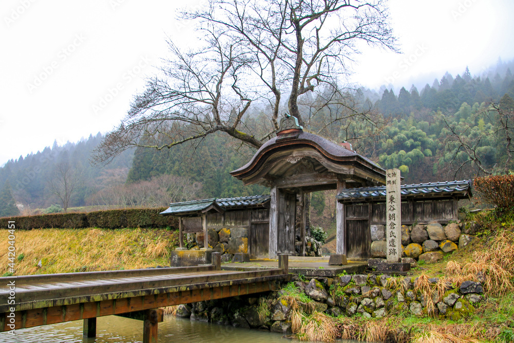 Fototapeta premium 一乗谷朝倉氏遺跡