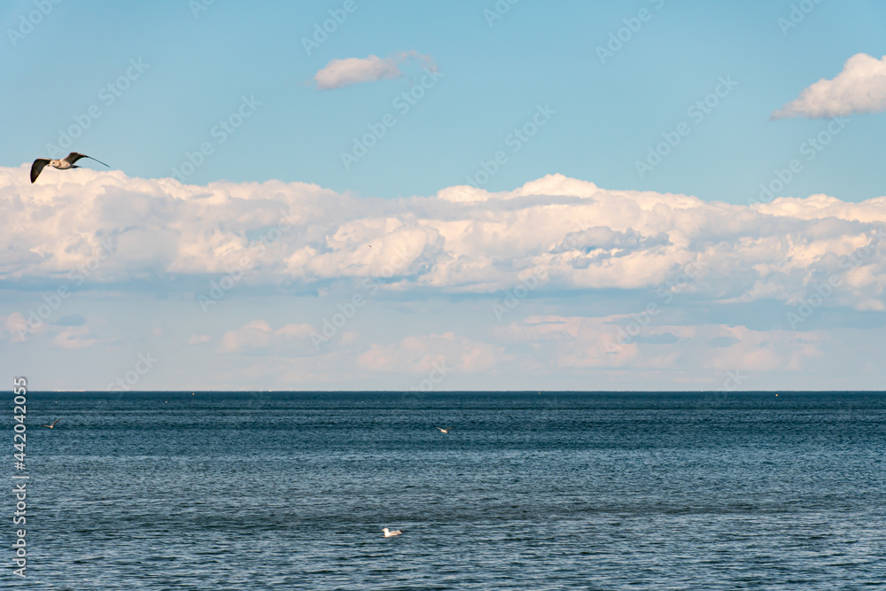 Clouds and water lake Ontario. White blue small clouds on the sky near water coast in Toronto. Summer mood vibes. Sunny leisure after lock down. Relaxing background.