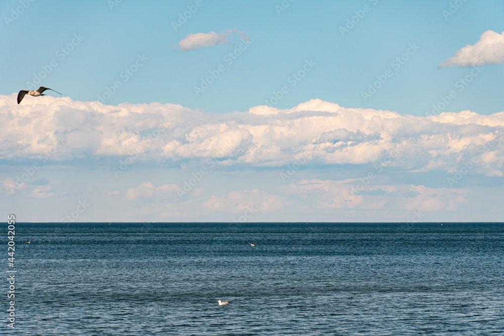 Fototapeta premium Clouds and water lake Ontario. White blue small clouds on the sky near water coast in Toronto. Summer mood vibes. Sunny leisure after lock down. Relaxing background.