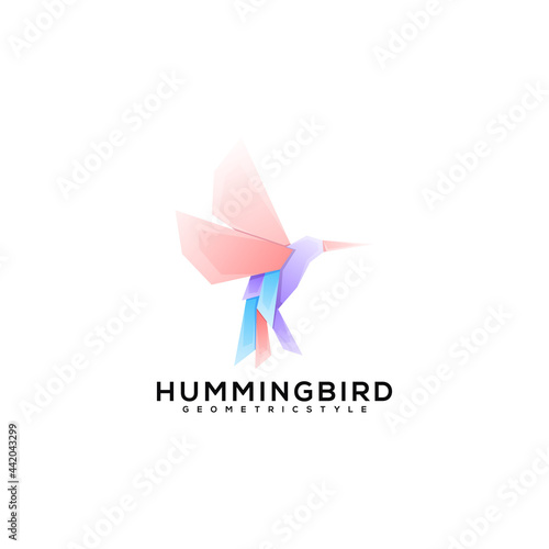 humming bird colorful logo design ilustration 