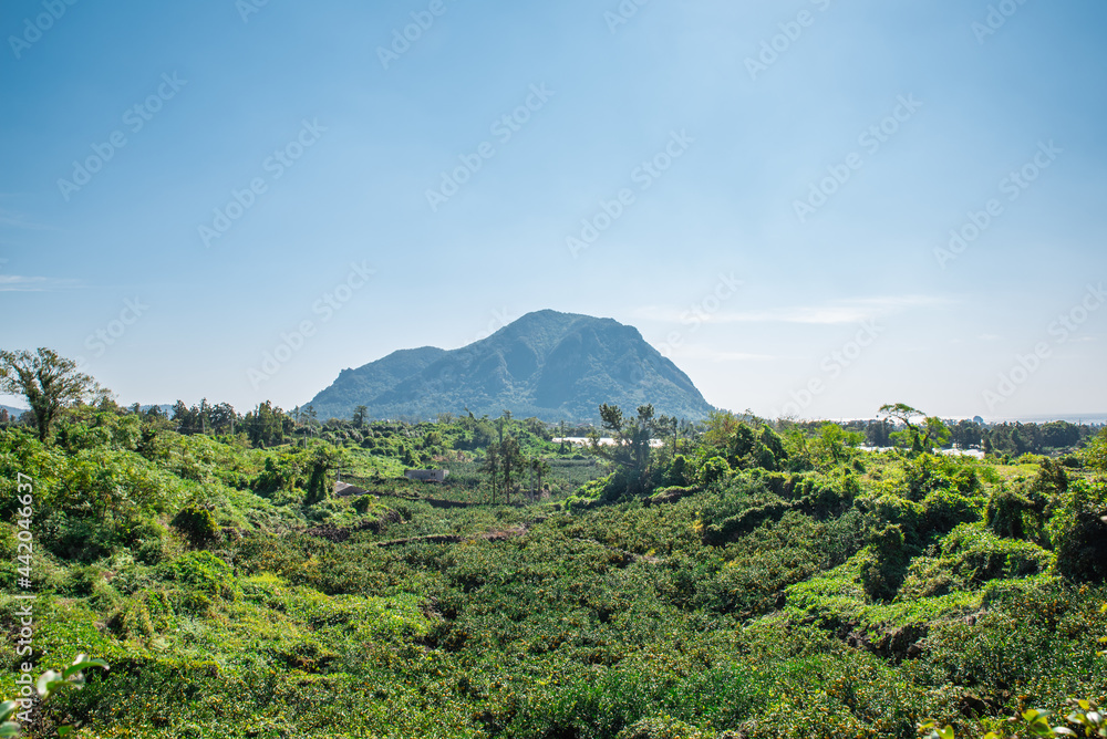There are numerous peaks in Jeju Island.