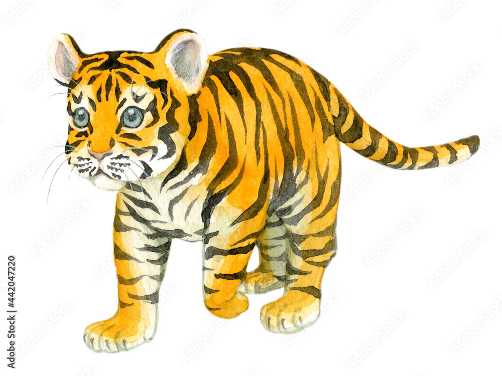 A walking baby tiger painted in watercolor