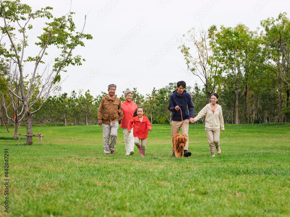 Obraz premium Happy family of five and pet dog walking in the park