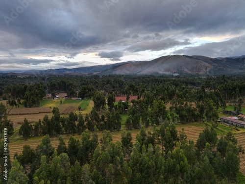 valle, eucalipto, verde, planta, cielo, ramas