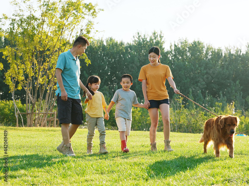 Happy family of four walking dogs in the park