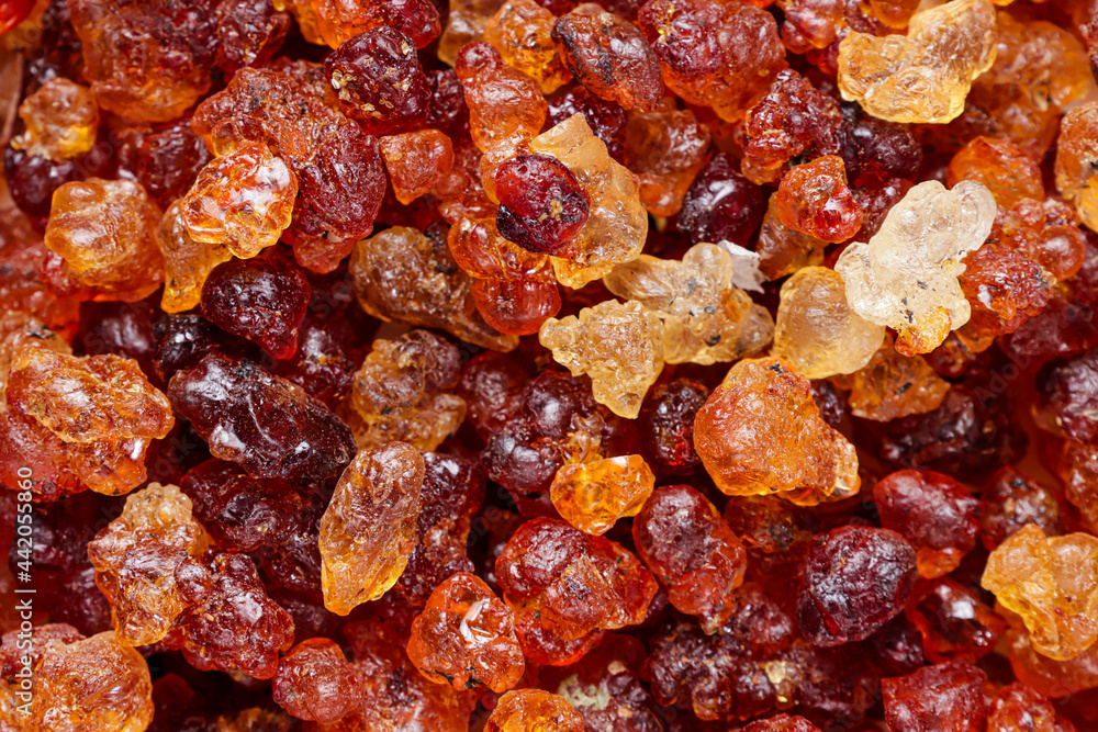Peach Gum or Amber crystal-clear peach blossom tears of peach. Natural dried peach resin (prunus persica). Peach Gum or Amber crystal-clear peach blossom tears of peach. Natural dried peach resin (prunus persica).