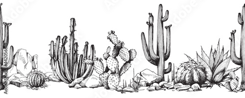 Seamless border with succulents and cactuses, engraving vector illustration.