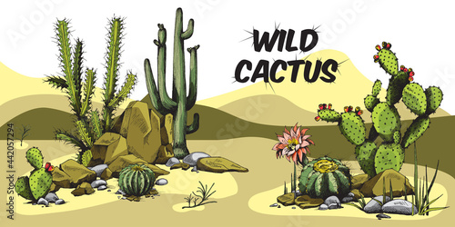 Decorative colorful banner with desert cactuses engraving vector illustration.