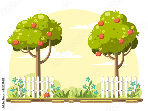 Fruit trees with ripe apples in the garden. Garden with trees and fence. Vector illustration in modern cartoon style.  (ID: 442057413)