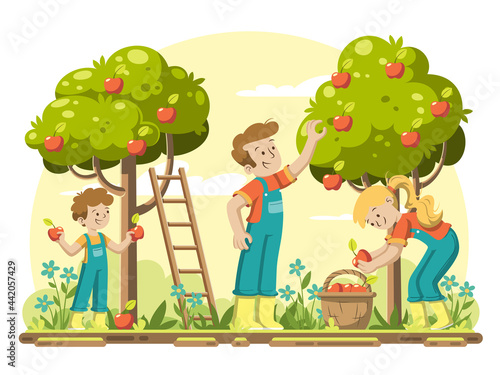 Young family picking apples in the garden. Ripe apples hanging on trees. Vector illustration in modern cartoon style.  (ID: 442057429)
