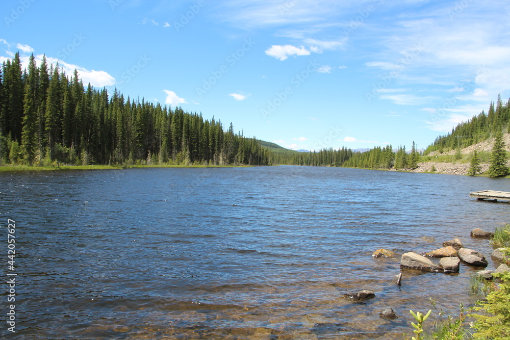 Beaver Pond, Nordegg, Alberta