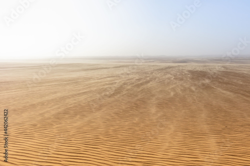 Big sands of the Sahara Desert. Windy on desert.