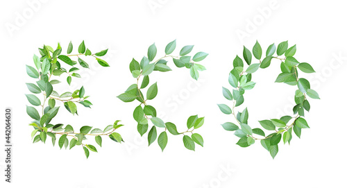 Word eco made from branches with green leaves