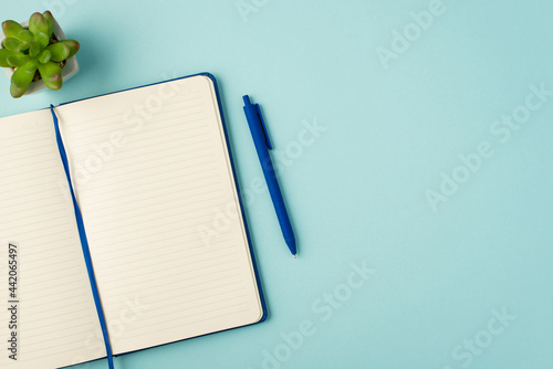 Top view photo of open blue organizer pen and plant on isolated pastel blue background with copyspace