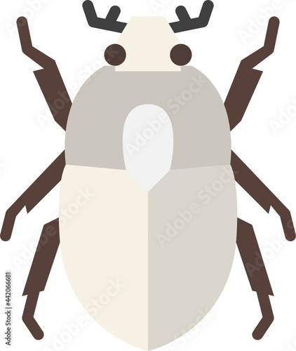 scarab beetle flat icon