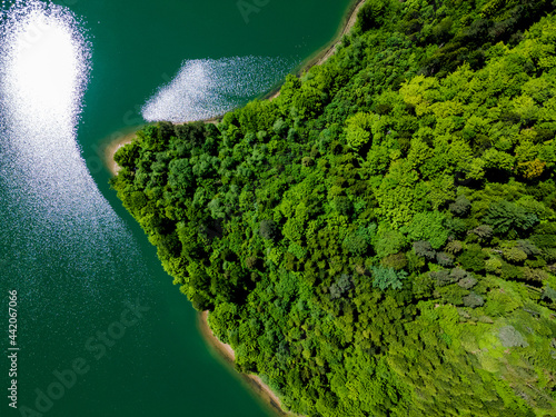 Green Forest Woods and Turquoise Water lake. Top Down Drone Aerial View