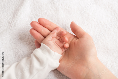 Closeup photo of newborn's and mother's hand holding transparent teething toy ring sheep on isolated white textile background