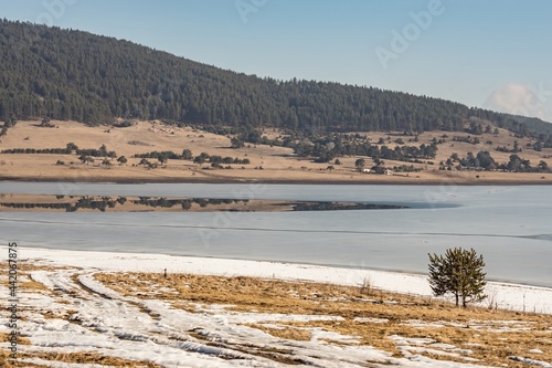 Natural landscape. White snow on the coast and blurry reflections on the frozen water surface of Batak Dam, lake in the Rhodope Mountains, Bulgaria.