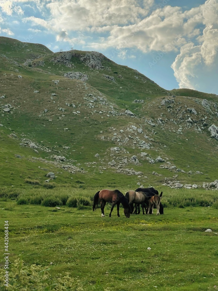 Sarajevo, Bosnia and Herzegovina - 28-06-2021: Landscape photography of scenic view on mountain Bjelasnica.