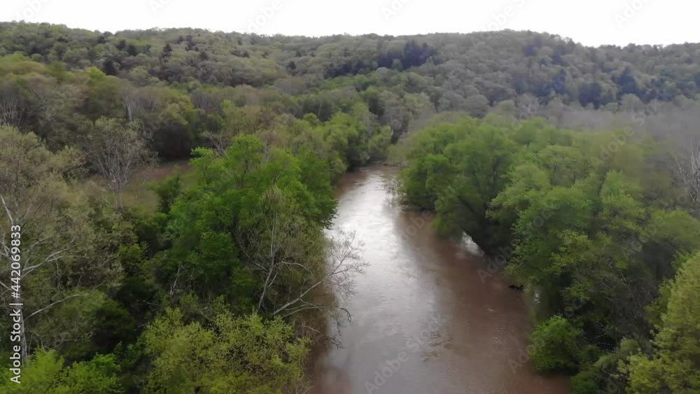 Quiet forest and down-river view Quiet forest and down-river view