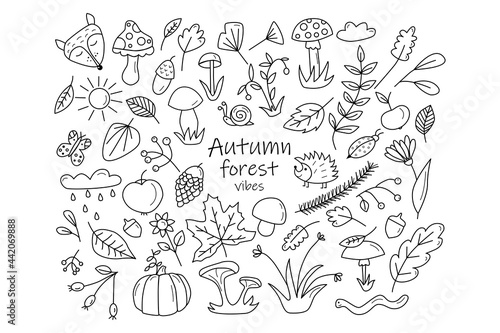 Set of Autumn Forest design elements in doodle hand drawn style. Collection of animals and natural objects in vintage style. Vector illustration isolated on white background.